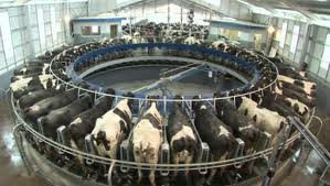 industrialmilk