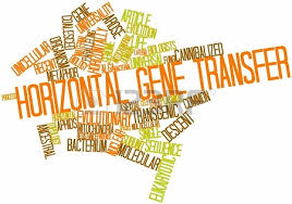 horizontalgene