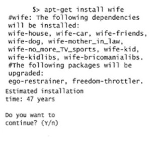 apt get-wife