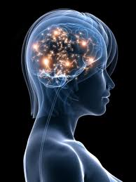 evidence2-brain