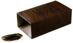 roachmotel