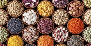 legumes