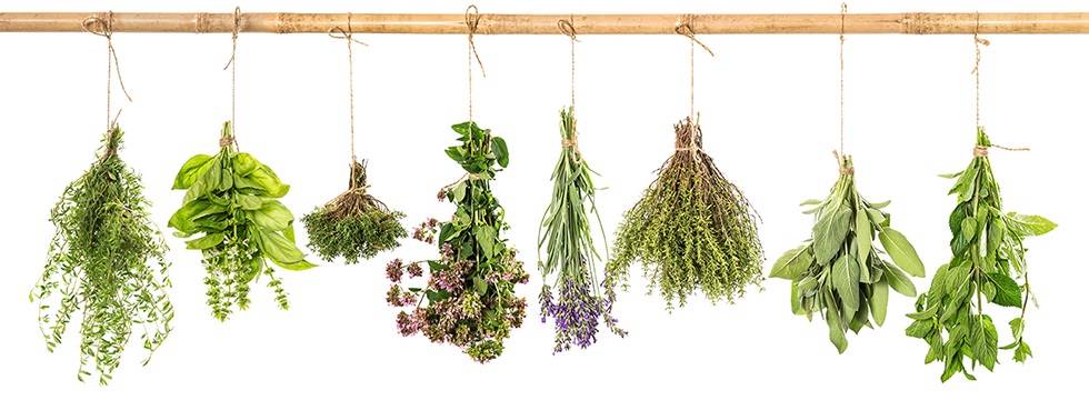 piantemedicine