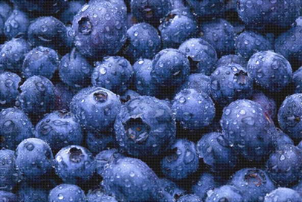 mirtilli