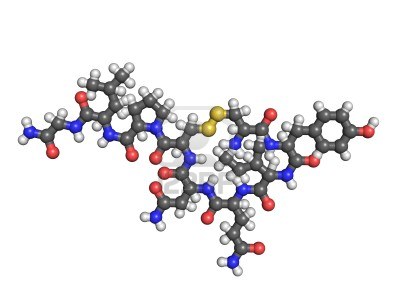 ossitocina-molecola