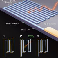 Schema di un generico rivelatore di fotoni a nanofili superconduttori. I fili in questo studio sono stati realizzati interamente in siliciuro di tungsteno, senza contatti in oro. Credito: S. Kelley/NIST