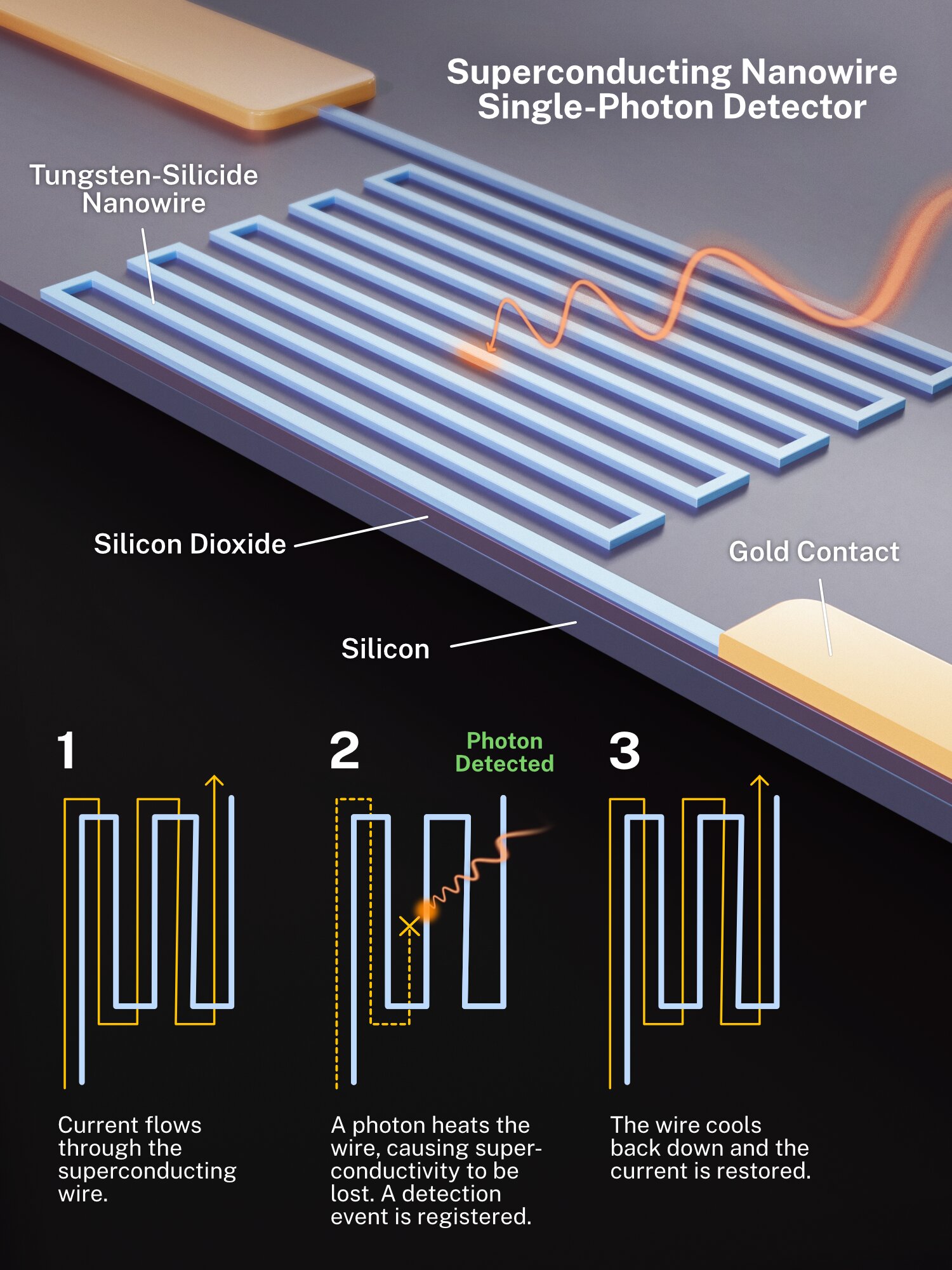 Schema di un generico rivelatore di fotoni a nanofili superconduttori. I fili in questo studio sono stati realizzati interamente in siliciuro di tungsteno, senza contatti in oro. Credito: S. Kelley/NIST
