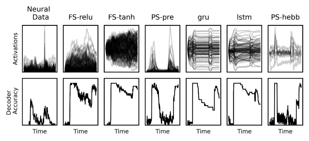 I ricercatori hanno confrontato l'output (attività in alto e accuratezza del decodificatore in basso) associato a dati neurali reali (colonna di sinistra) e diversi modelli di memoria di lavoro a destra. Quelli che meglio somigliavano ai dati reali erano i modelli "PS" caratterizzati da plasticità sinaptica a breve termine. Credito: Miller Lab/The Picower Institute del MIT