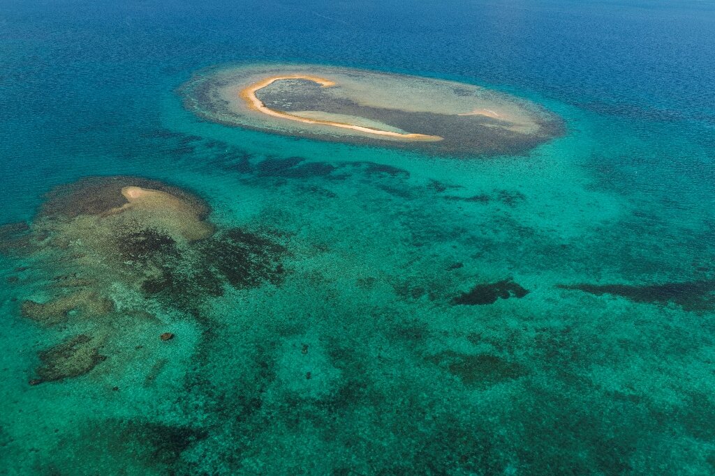 La "stratificazione" dell'oceano significa che l'acqua meno profonda sta salendo verso la superficie trasportando ossigeno e sostanze nutritive, mentre l'acqua in superficie assorbe meno anidride carbonica atmosferica per seppellirsi in profondità.