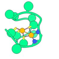 Un rendering al computer del peptide Nickelback mostra gli atomi di azoto della spina dorsale (blu) che legano due atomi di nichel critici (arancione). Gli scienziati che hanno identificato questa parte di una proteina ritengono che possa fornire indizi per rilevare pianeti in procinto di produrre vita. Credito: il laboratorio Nanda