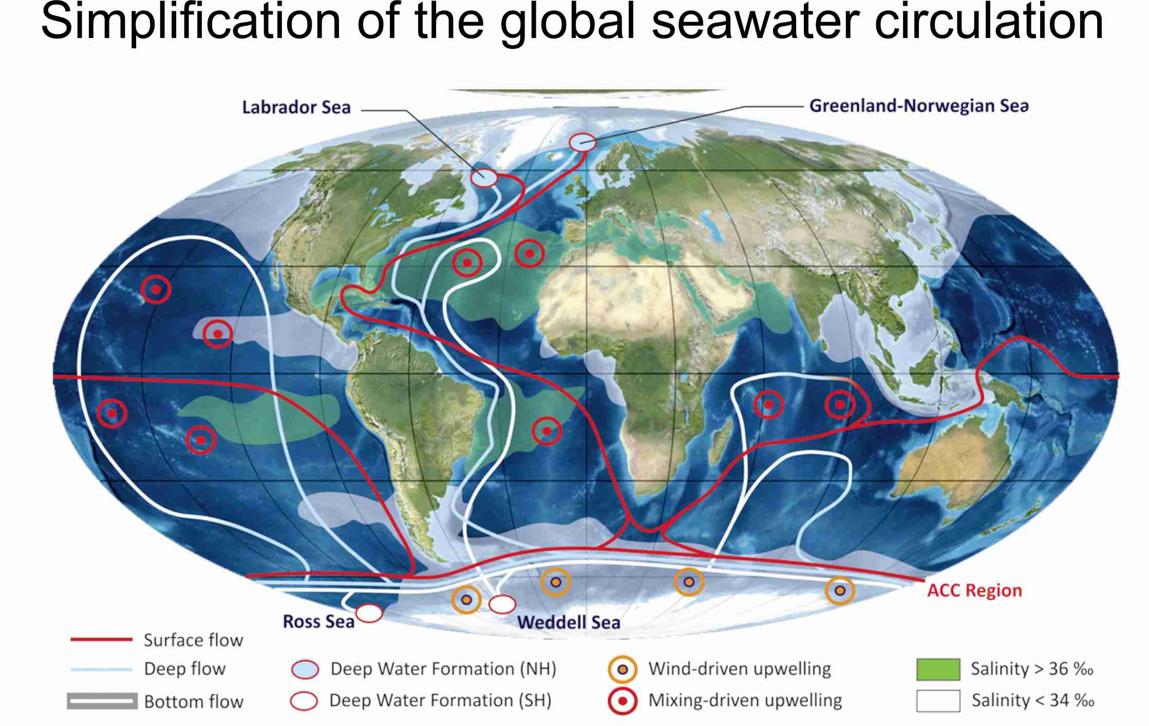 Questa proiezione di Mollweide della Terra mostra una semplificazione delle correnti globali superficiali e sotterranee e delle aree in cui l'acqua sprofonda (formazione di acque profonde) o sale (risalita) verso la superficie a causa delle differenze di densità. Fonte: Rebesco et al. 2014