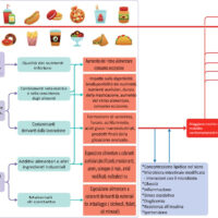 È ora di informare il pubblico sugli effetti negativi degli alimenti ultra-processati, dicono i ricercatori