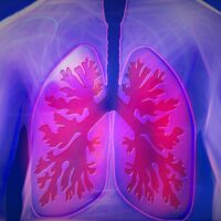 Come un nuovo prototipo di farmaco rigenera il tessuto polmonare