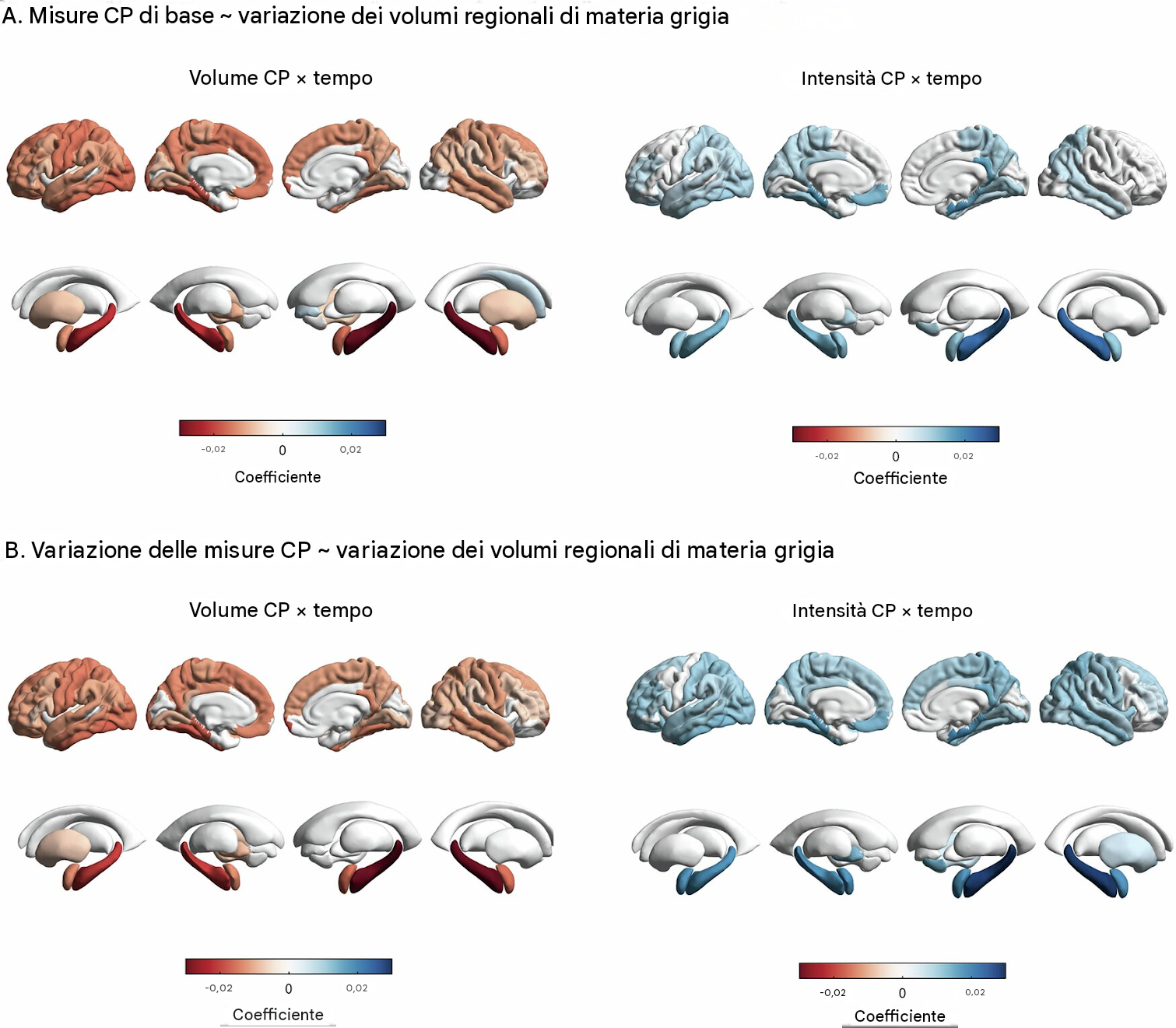 Associazioni longitudinali tra le misurazioni del plesso coroideo e le variazioni regionali del volume della sostanza grigia. Fonte: Molecular Psychiatry (2026). DOI: 10.1038/s41380-026-03739-5