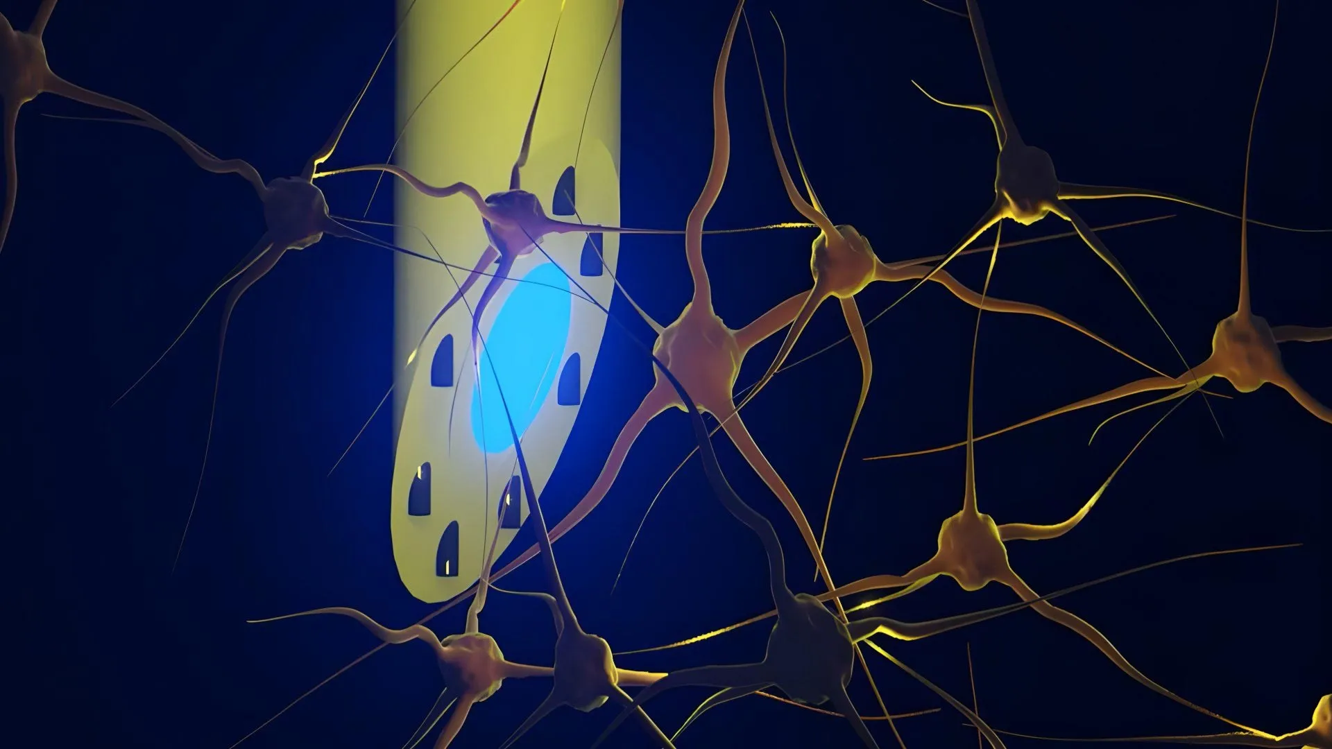 Illustrazione del mAxialtrode, che mostra come esso combini luce, segnali elettrici e farmaci in un unico tubicino sottilissimo, utilizzabile per controllare e misurare l'attività cerebrale in diversi strati del cervello e per somministrare farmaci direttamente. Crediti: Kunyang Sui 