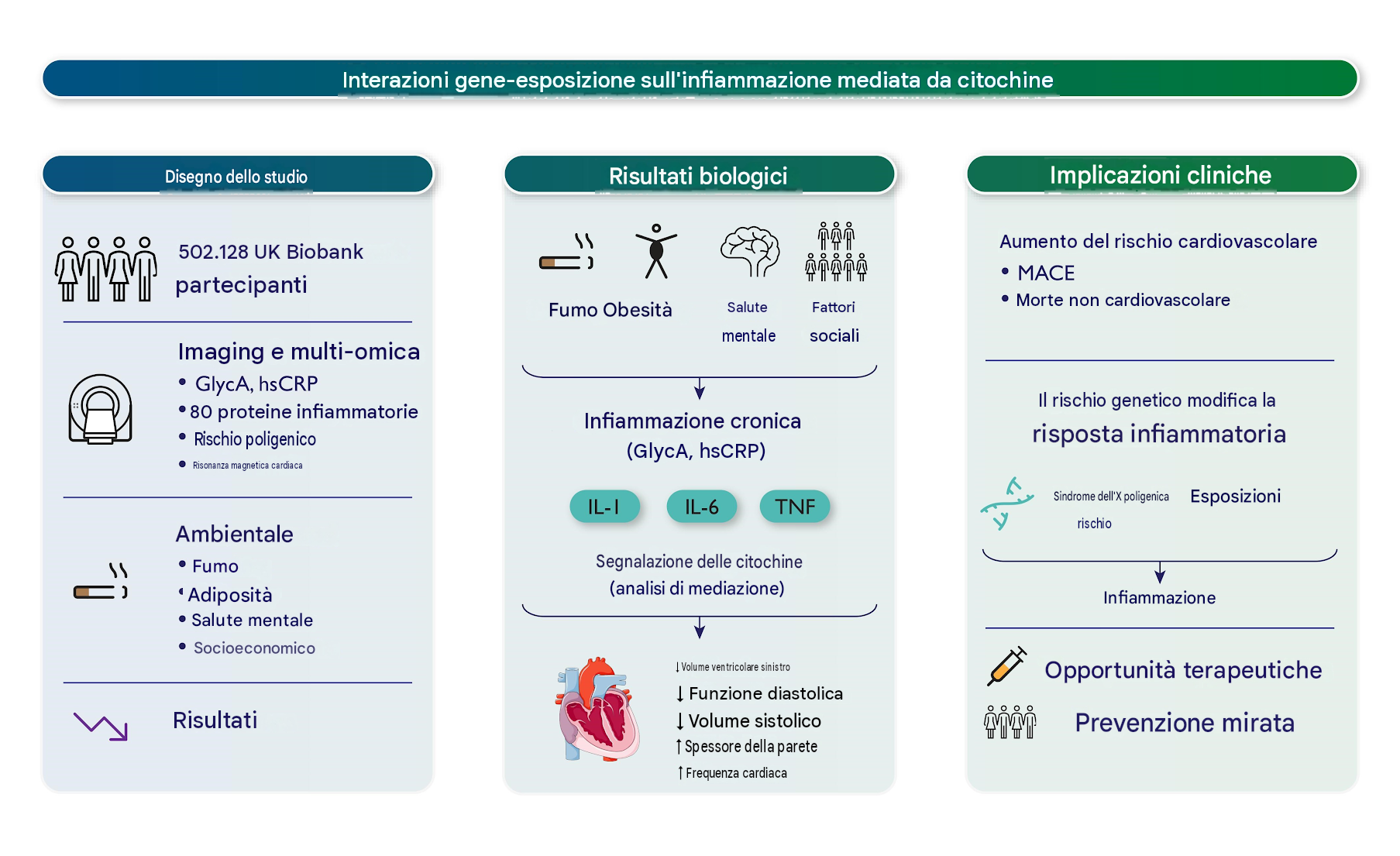 Abstract grafico

Lo studio ha incluso partecipanti alla UK Biobank con profilazione metabolomica e proteomica, imaging CMR, ECG, esposizioni ambientali, analisi del grasso corporeo, profili di rischio poligenico ed esiti longitudinali. L'infiammazione cronica è stata quantificata utilizzando GlycA mediante spettroscopia di risonanza magnetica nucleare. L'associazione tra infiammazione sistemica e rimodellamento cardiaco è stata valutata in un sottogruppo di 70.809 partecipanti considerando 33 IDP da CMR e 16 tratti ECG. L'analisi di mediazione ha testato 80 proteine ​​infiammatorie come potenziali mediatori in 8.184 individui. L'analisi degli esiti ha studiato l'associazione di GlycA su MACE e mortalità per tutte le cause oltre al profilo lipidico (454.821), IDP (72.541) e considerando le proteine ​​come mediatori (48.427). Uno studio di associazione a livello dell'esposoma condotto su 478.941 volontari ha identificato i determinanti ambientali dell'infiammazione e le interazioni gene-ambiente sono state valutate utilizzando i punteggi di rischio poligienico multi-ascendenza disponibili per 454.821 partecipanti.

GlycA, glicoproteine ​​acetilate; hsCRP, proteina C-reattiva ad alta sensibilità; IL, interleuchina; LV, ventricolo sinistro; MACE, eventi cardiaci avversi maggiori; MRI, risonanza magnetica; TNF, fattore di necrosi tumorale. Immagini fornite da Servier Medical Art , con licenza CC BY 4.0 . 
