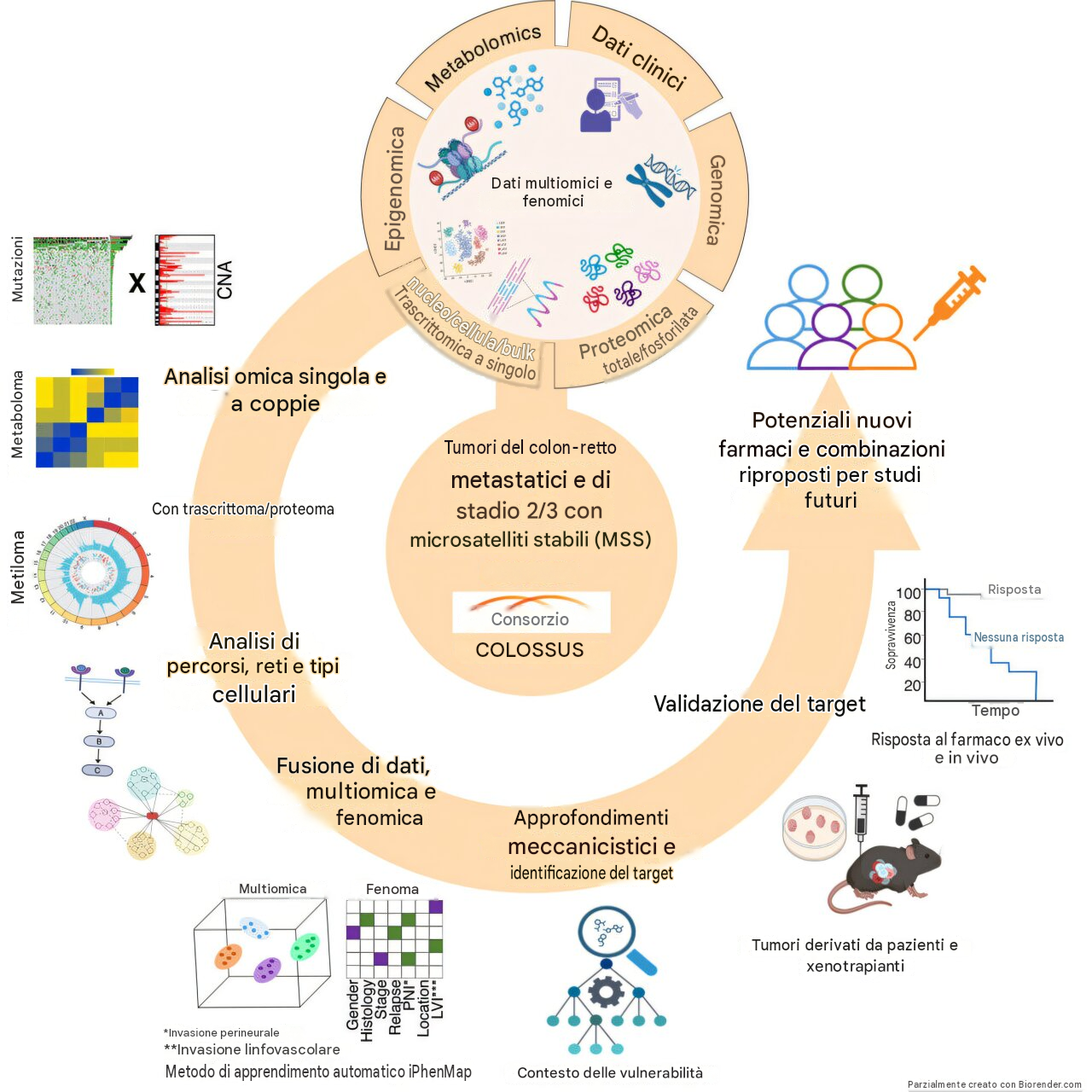 Crediti: Cancer Cell (2026). DOI: 10.1016/j.ccell.2026.09.014 