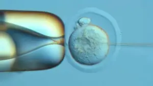 Viaggio straordinario dentro la nascita di un corpo attraverso la memoria scritta nel DNA